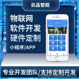 福建行業(yè)軟件 探索區(qū)域軟件開(kāi)發(fā)特色與未來(lái)